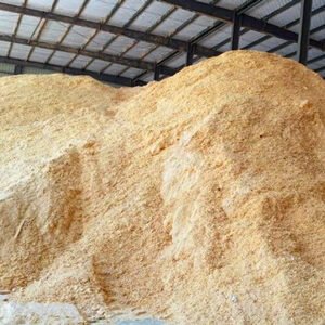 Pine Sawdust