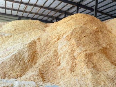 Pine Sawdust