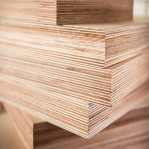Beech Plywood
