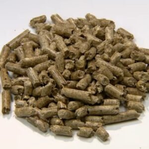 Biomass Wood Pellets
