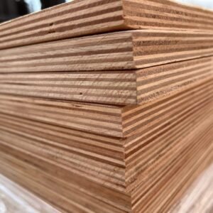 Eucalyptus Plywood