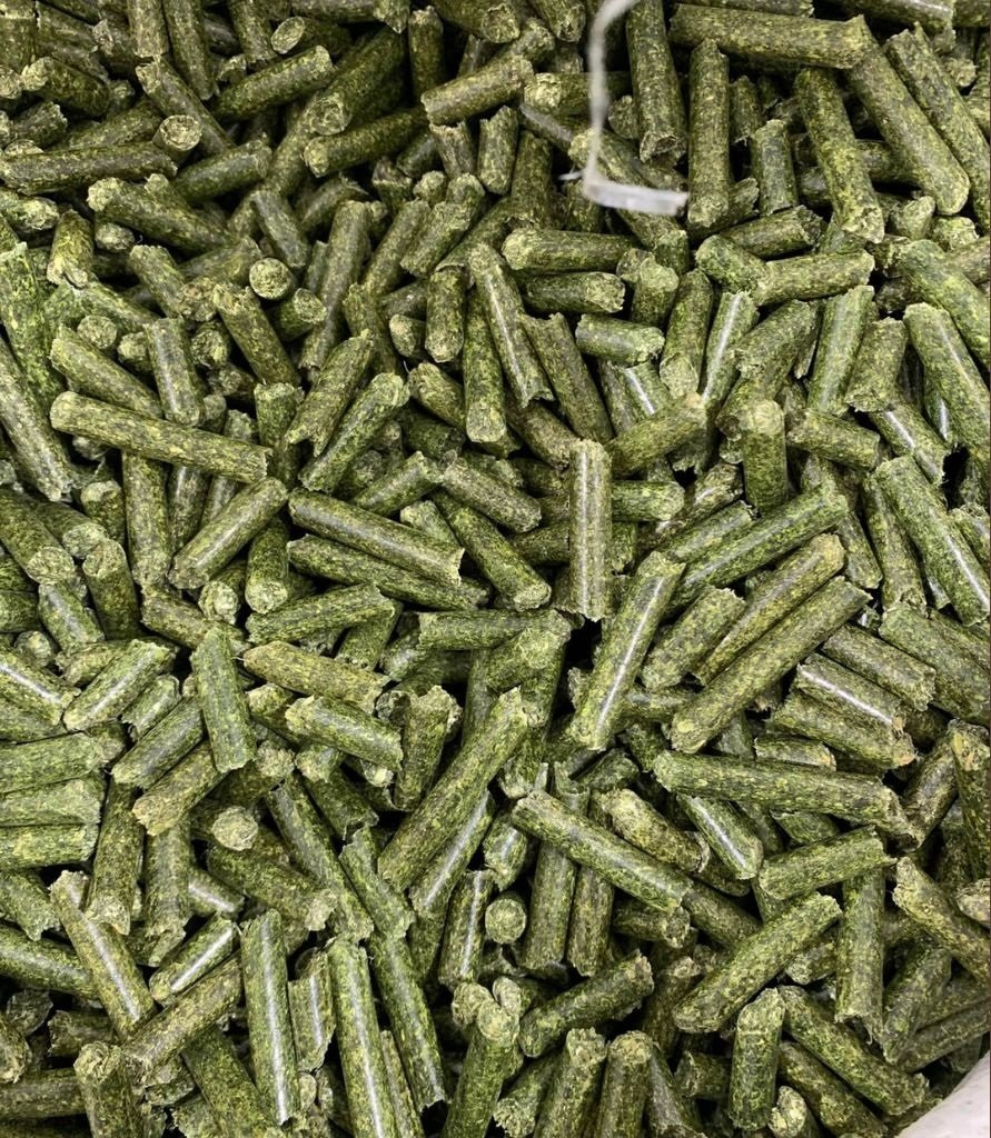 Wholesale Hay Pellets
